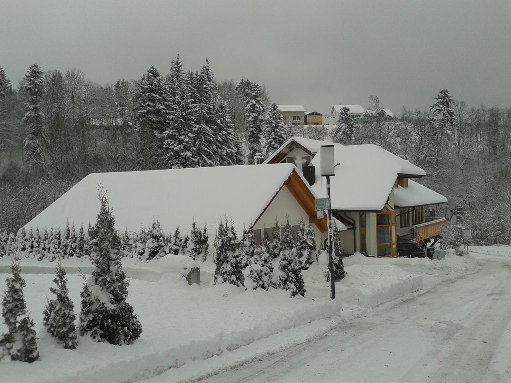 Dzt-Schwarzwaldhotel Garni Unterkirnach Eksteriør billede